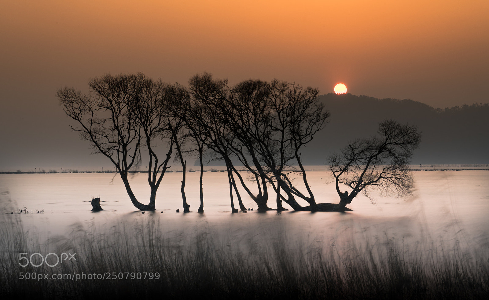 Sony a7R II sample photo. Sunset breeze photography