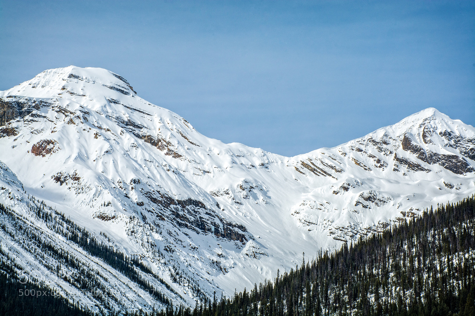 Nikon D7100 sample photo. Rocky mountain high photography