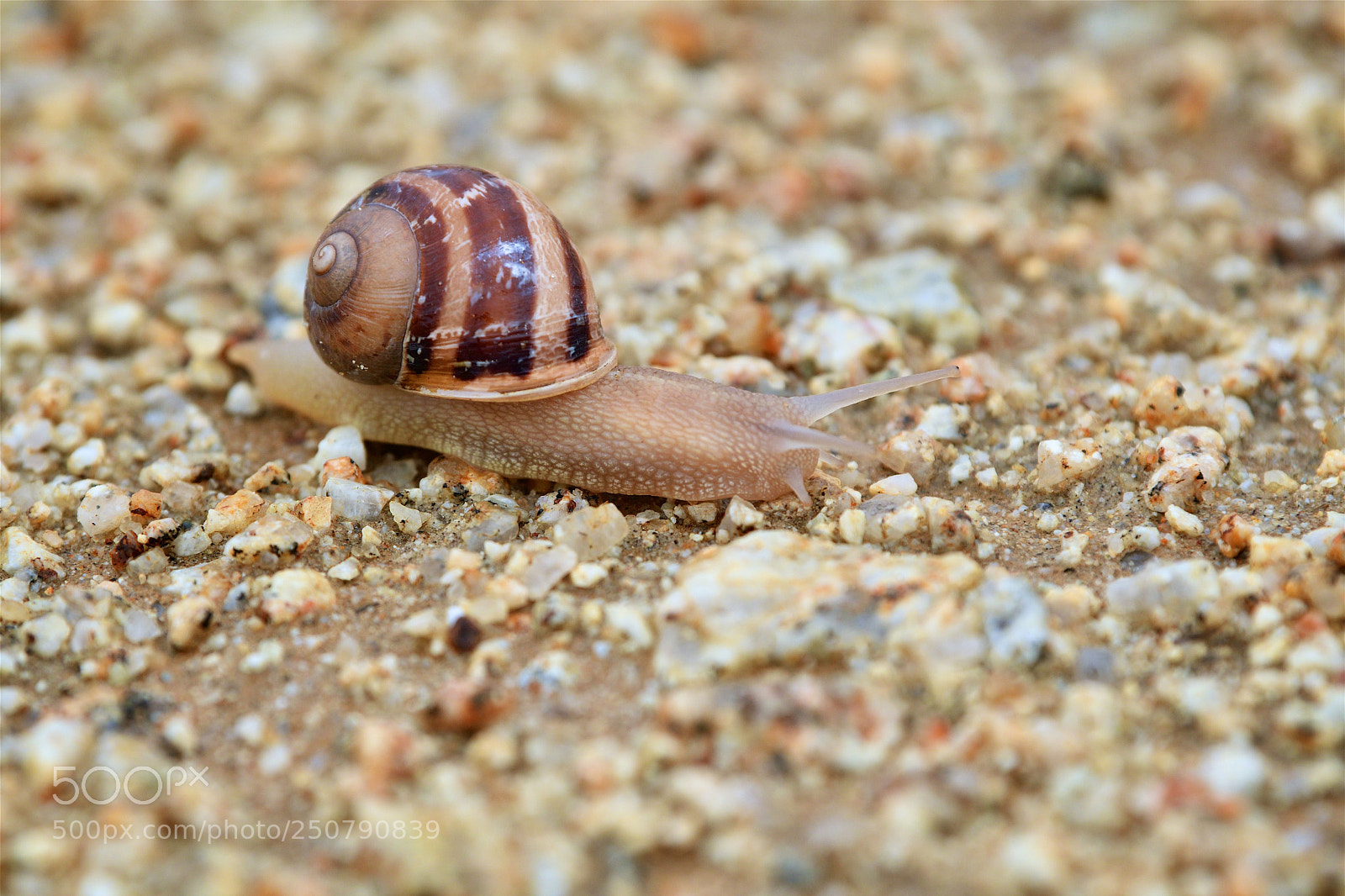 Nikon D500 sample photo. Untitled photography