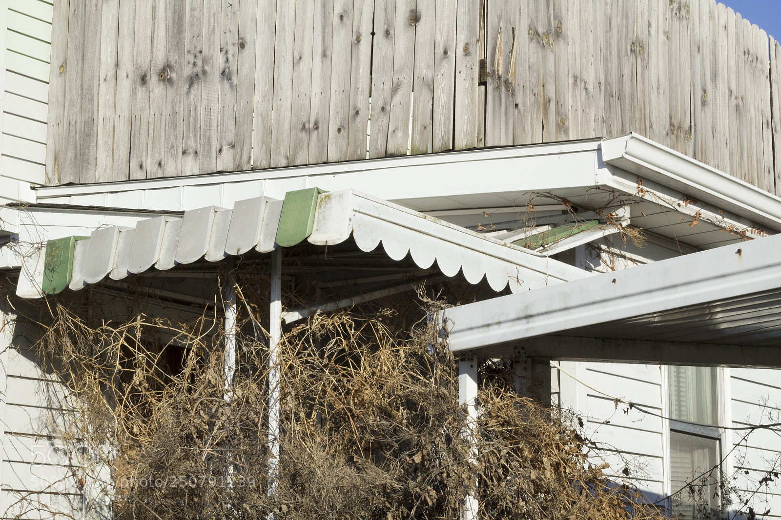 Canon EOS 1200D (EOS Rebel T5 / EOS Kiss X70 / EOS Hi) sample photo. Growth on someone's house. photography