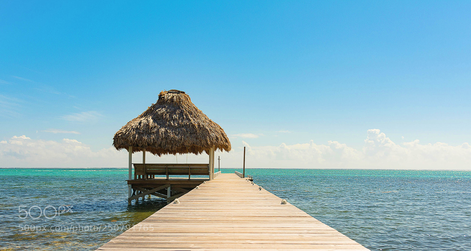 Nikon D7100 sample photo. Pier with thatch cabana photography
