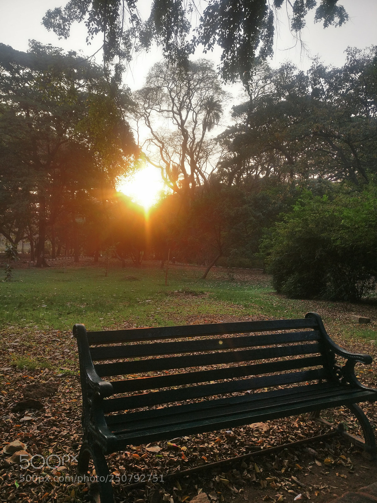 OnePlus A3003 sample photo. Untitled photography