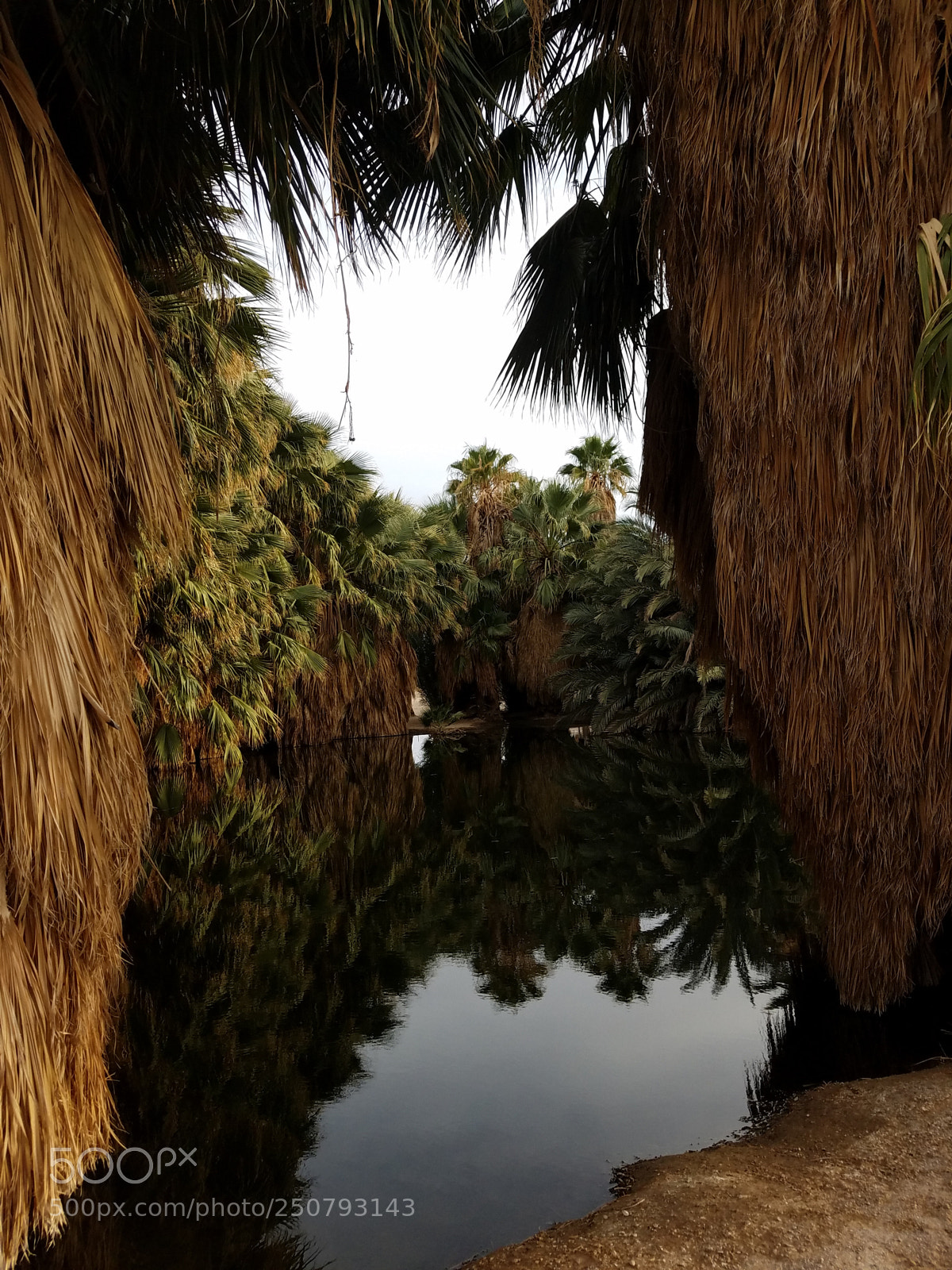Samsung Galaxy S7 sample photo. Hidden lake photography