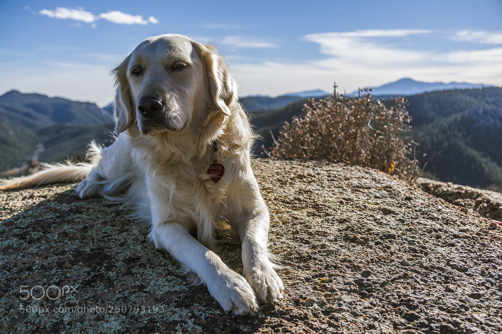 Sony Alpha NEX-5R sample photo. Atop the peak photography