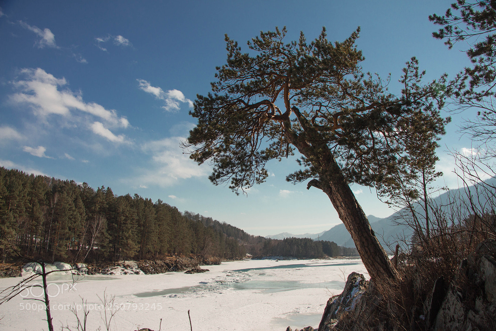 Canon EOS 700D (EOS Rebel T5i / EOS Kiss X7i) sample photo. Img photography