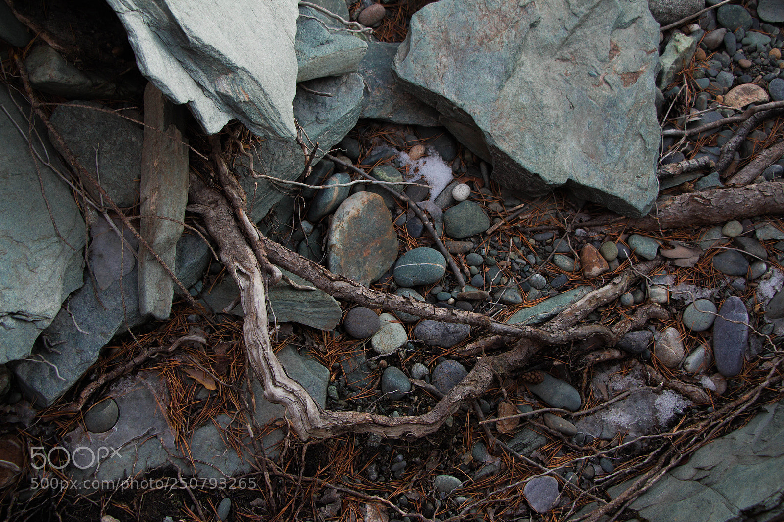 Canon EOS 700D (EOS Rebel T5i / EOS Kiss X7i) sample photo. Img photography