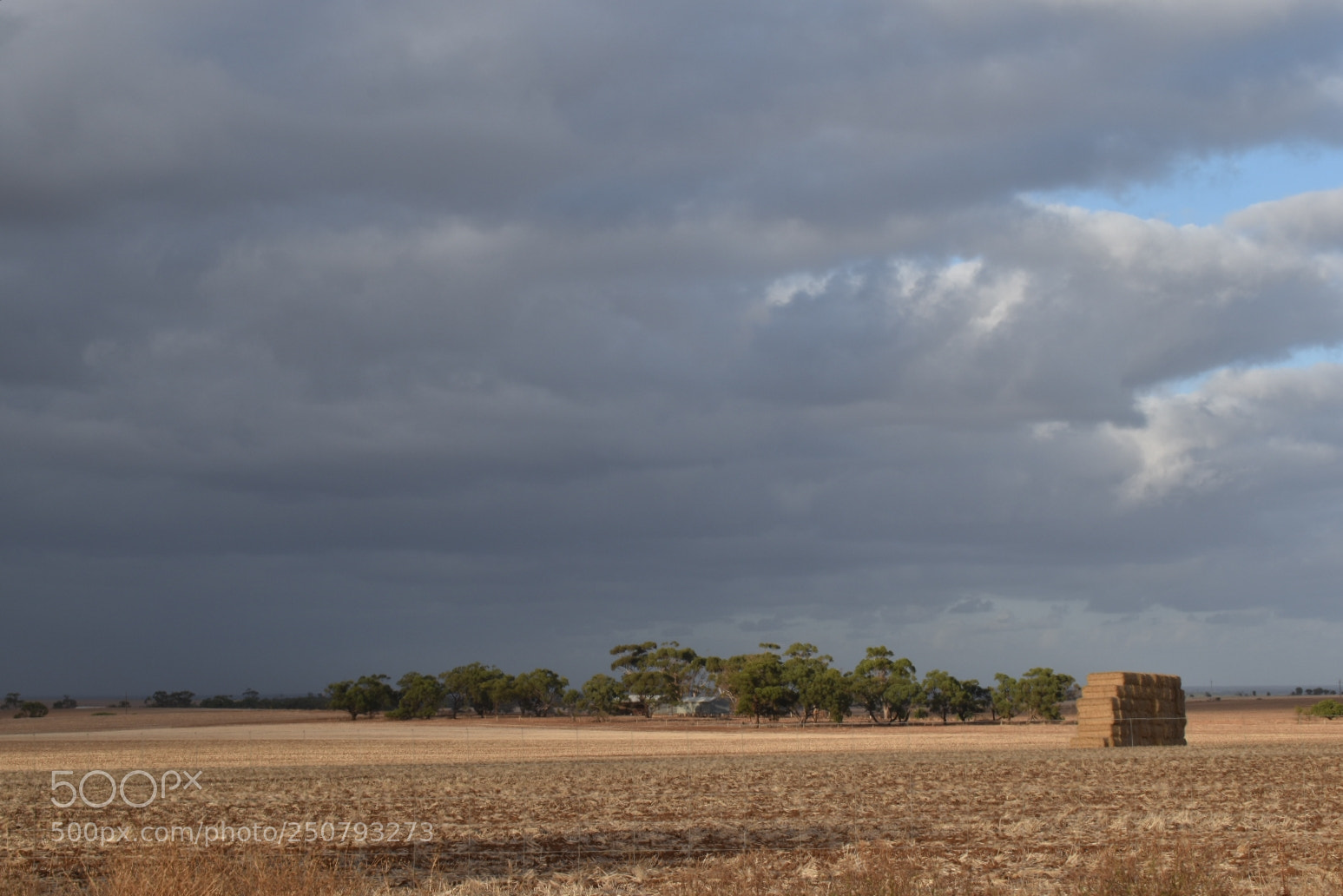 Nikon D5600 sample photo. Morning storm photography