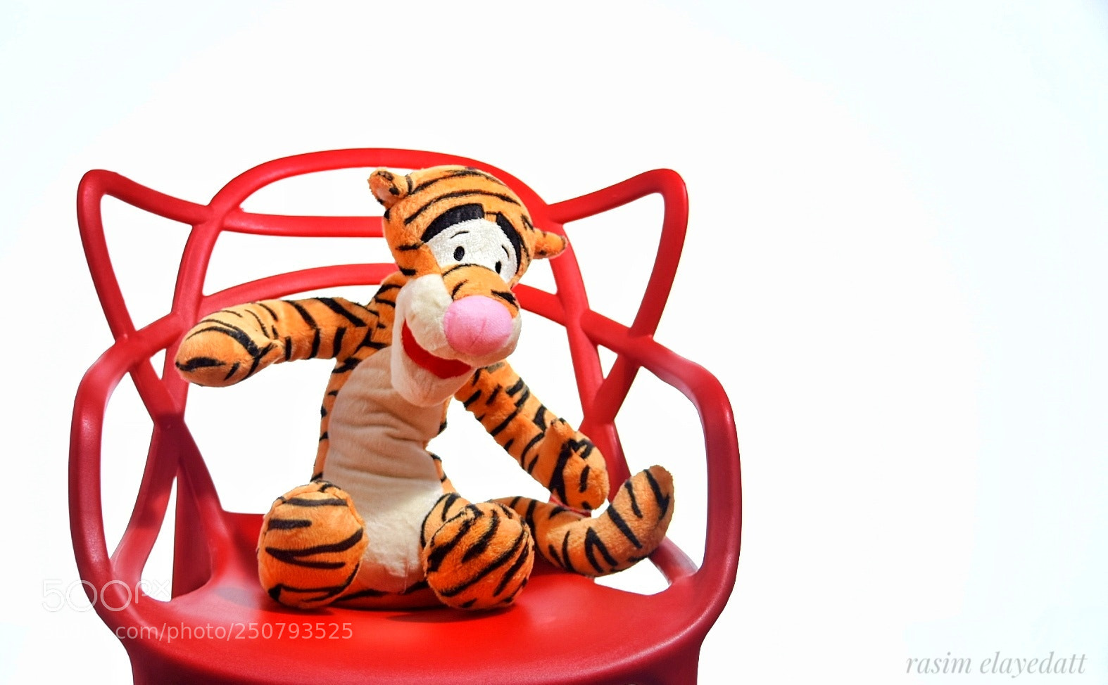 Nikon D5300 sample photo. Tigerr.... photography