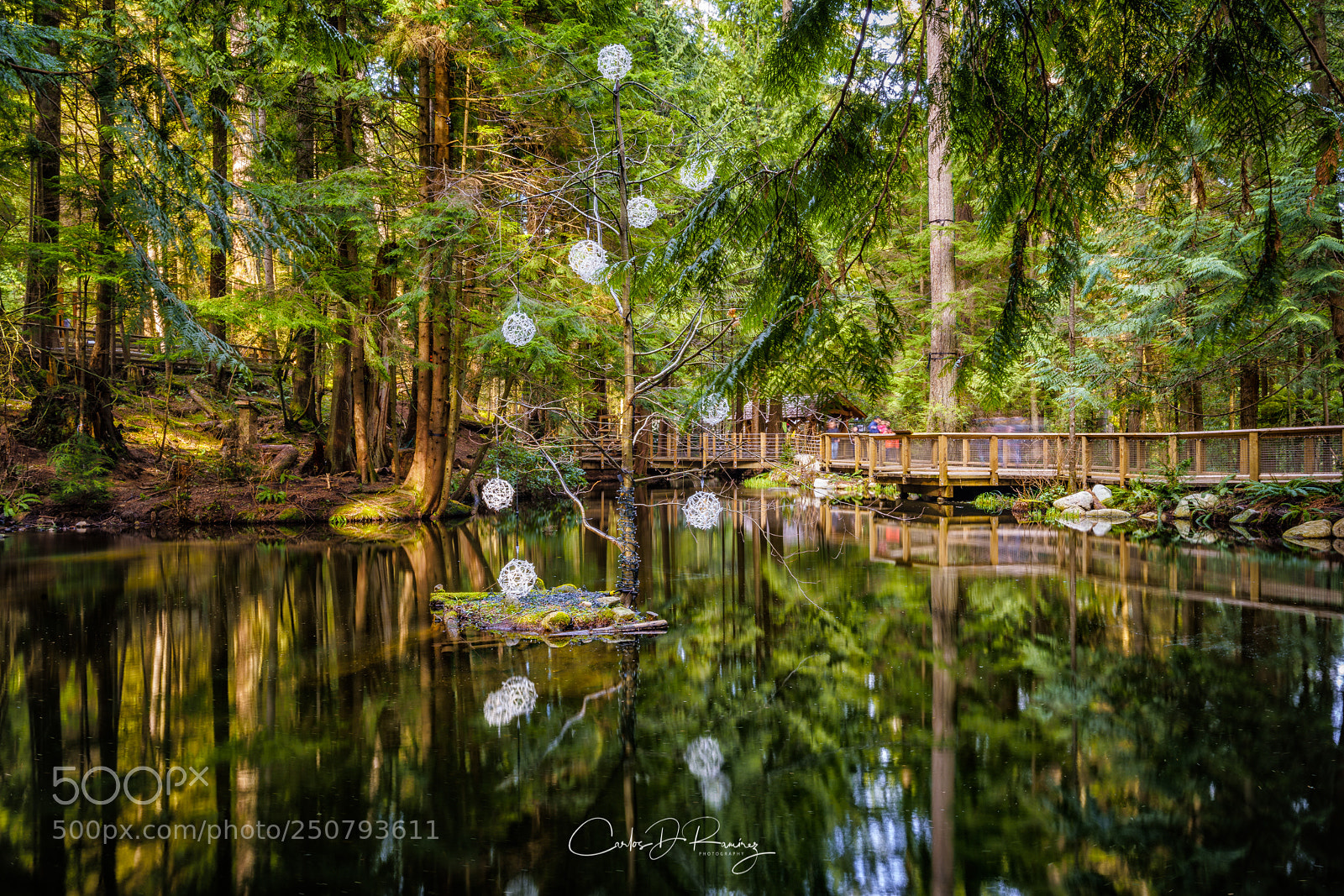 Sony a7R II sample photo. Capilano pond photography