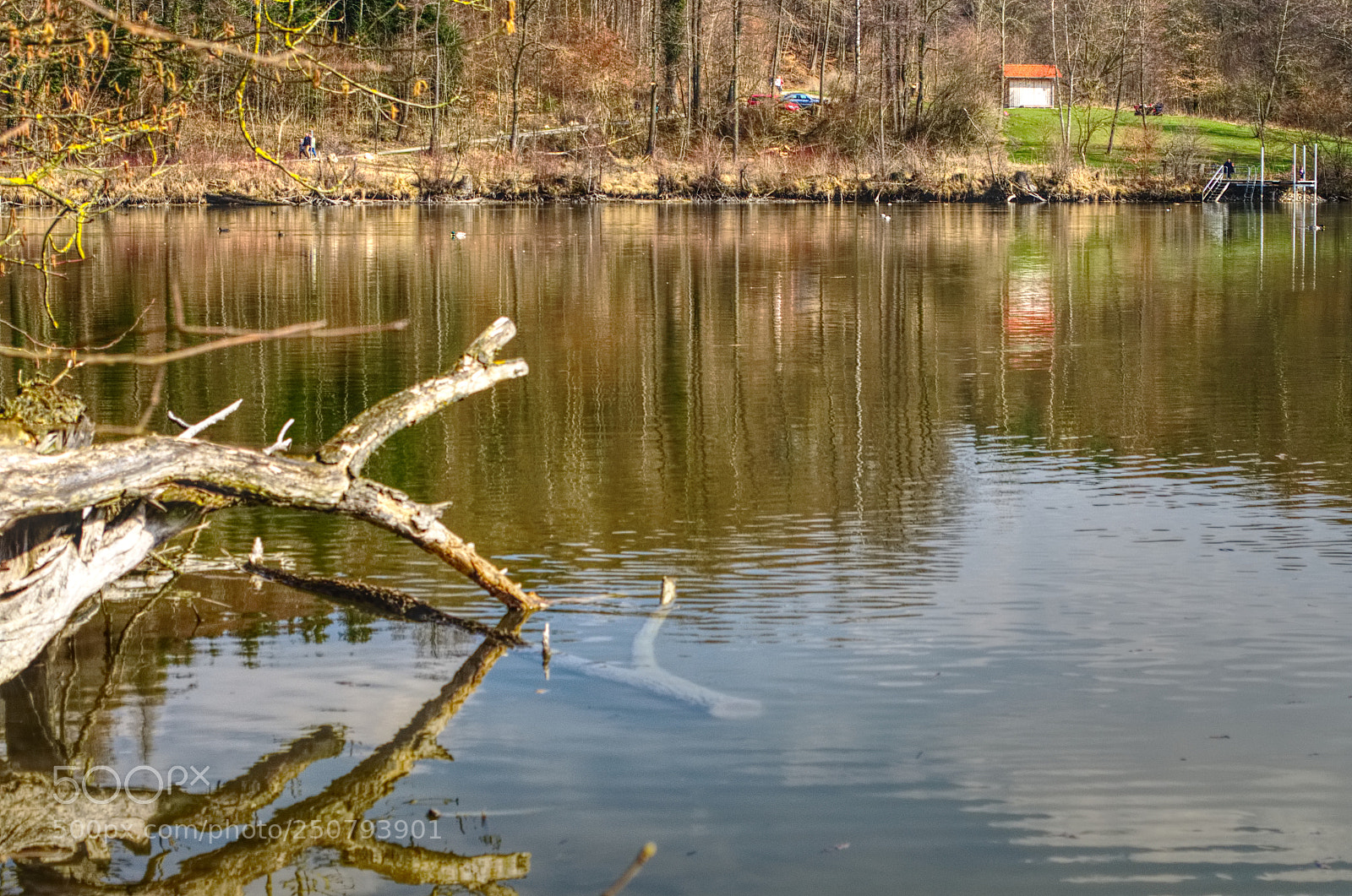 Nikon D5100 sample photo. Roggenburger weiher photography