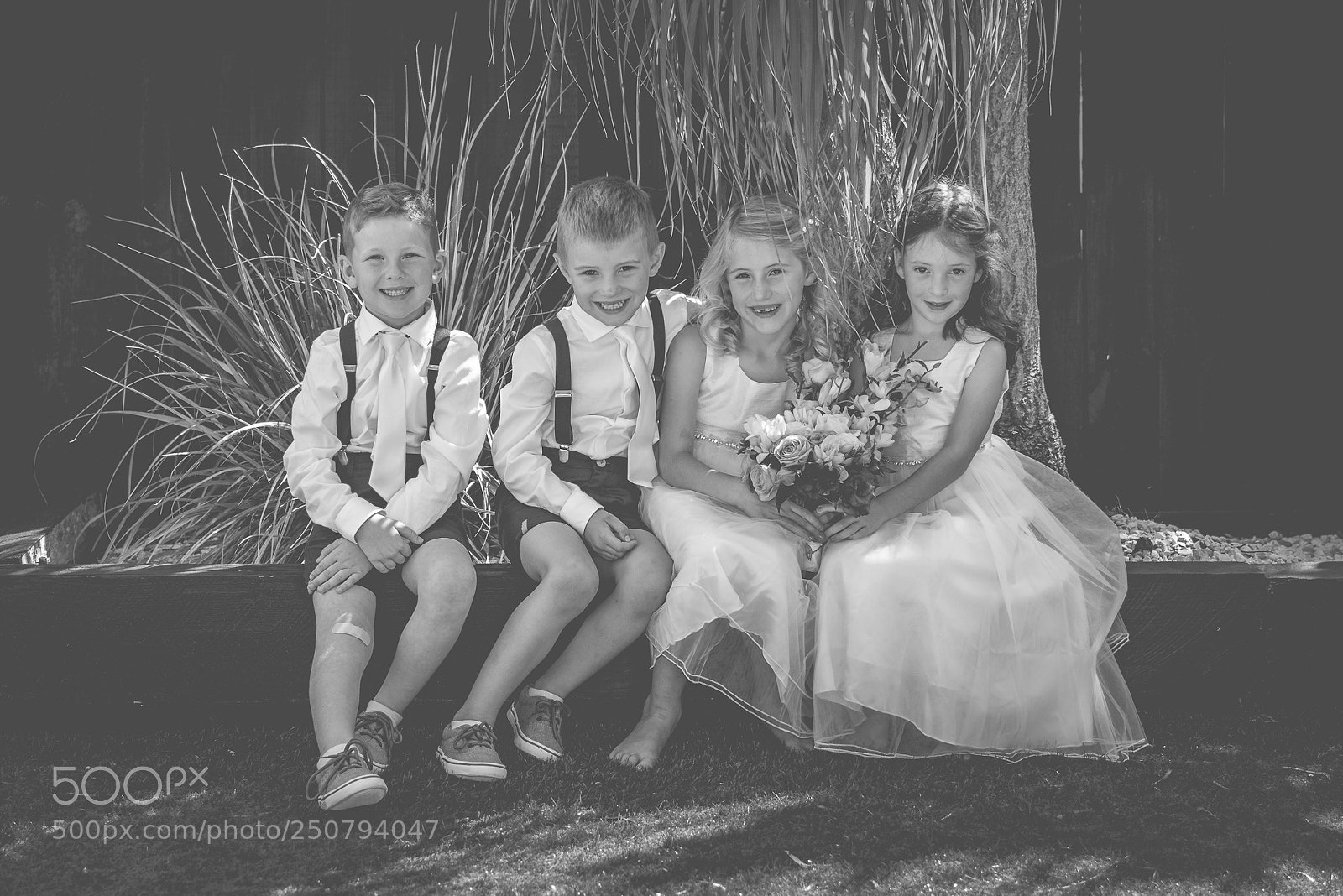 Sony a7R III sample photo. Amy & phil photography