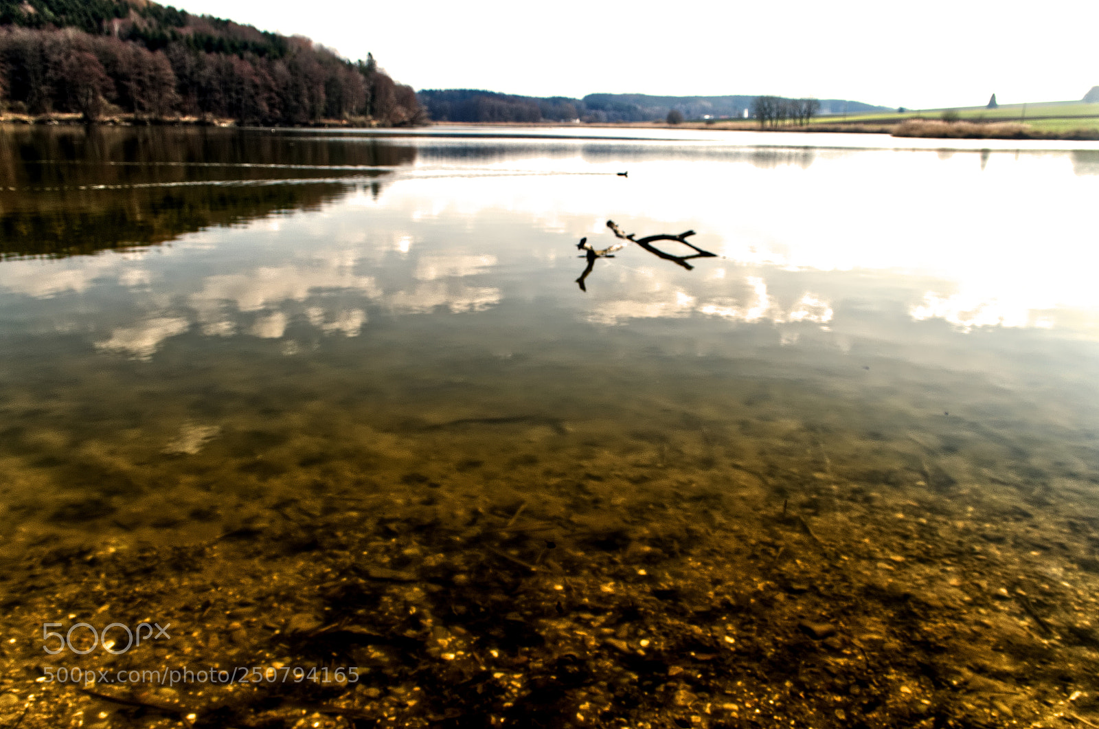 Nikon D5100 sample photo. Roggenburger weiher photography