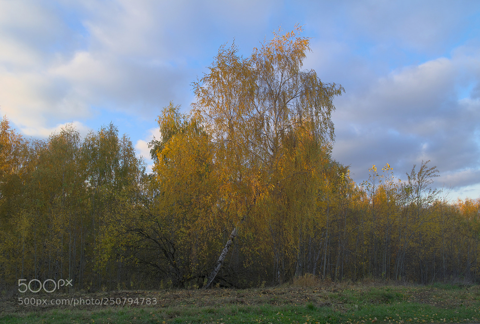 Samsung NX300 sample photo. Autumn photography