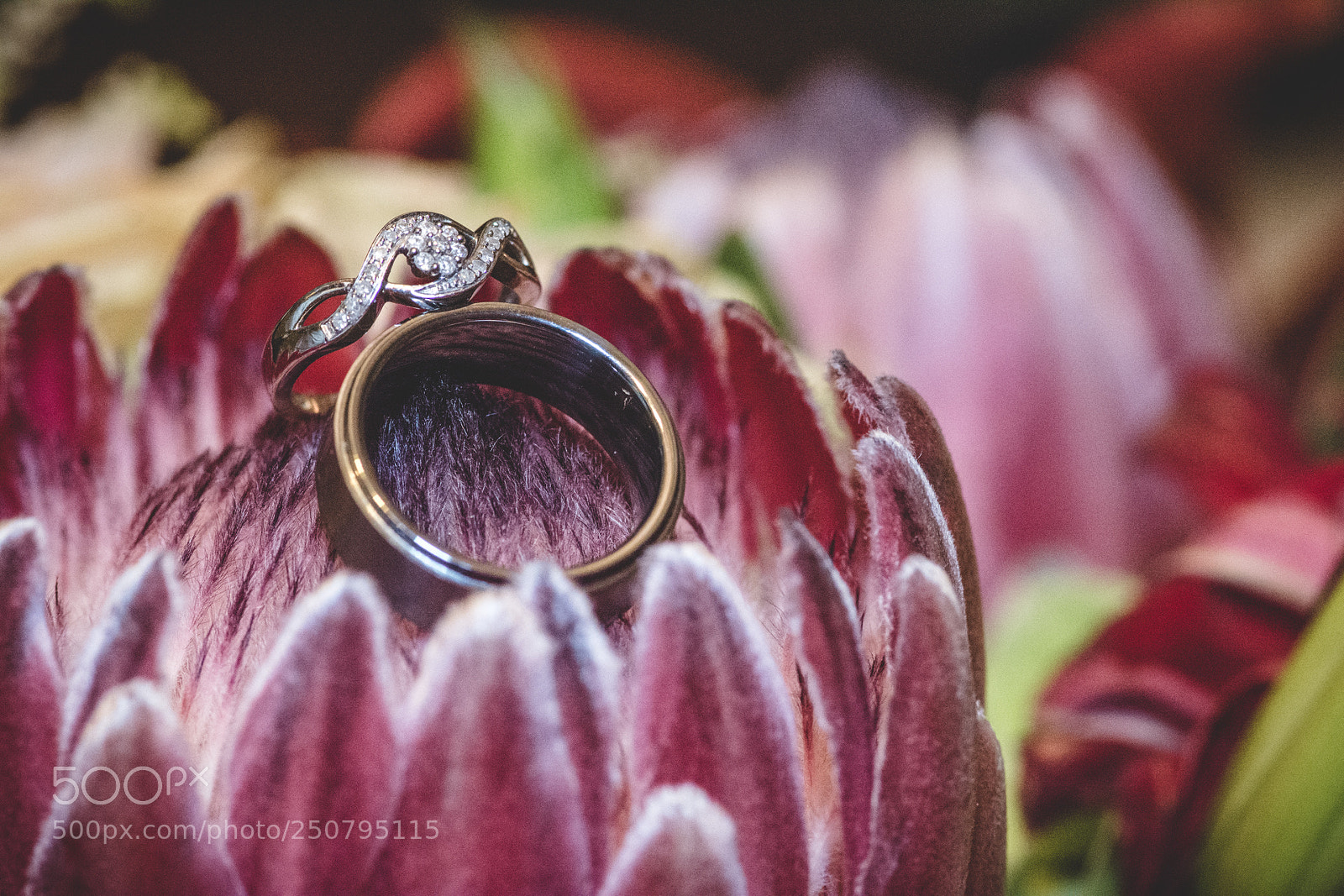 Nikon D7100 sample photo. Weddings bands photography