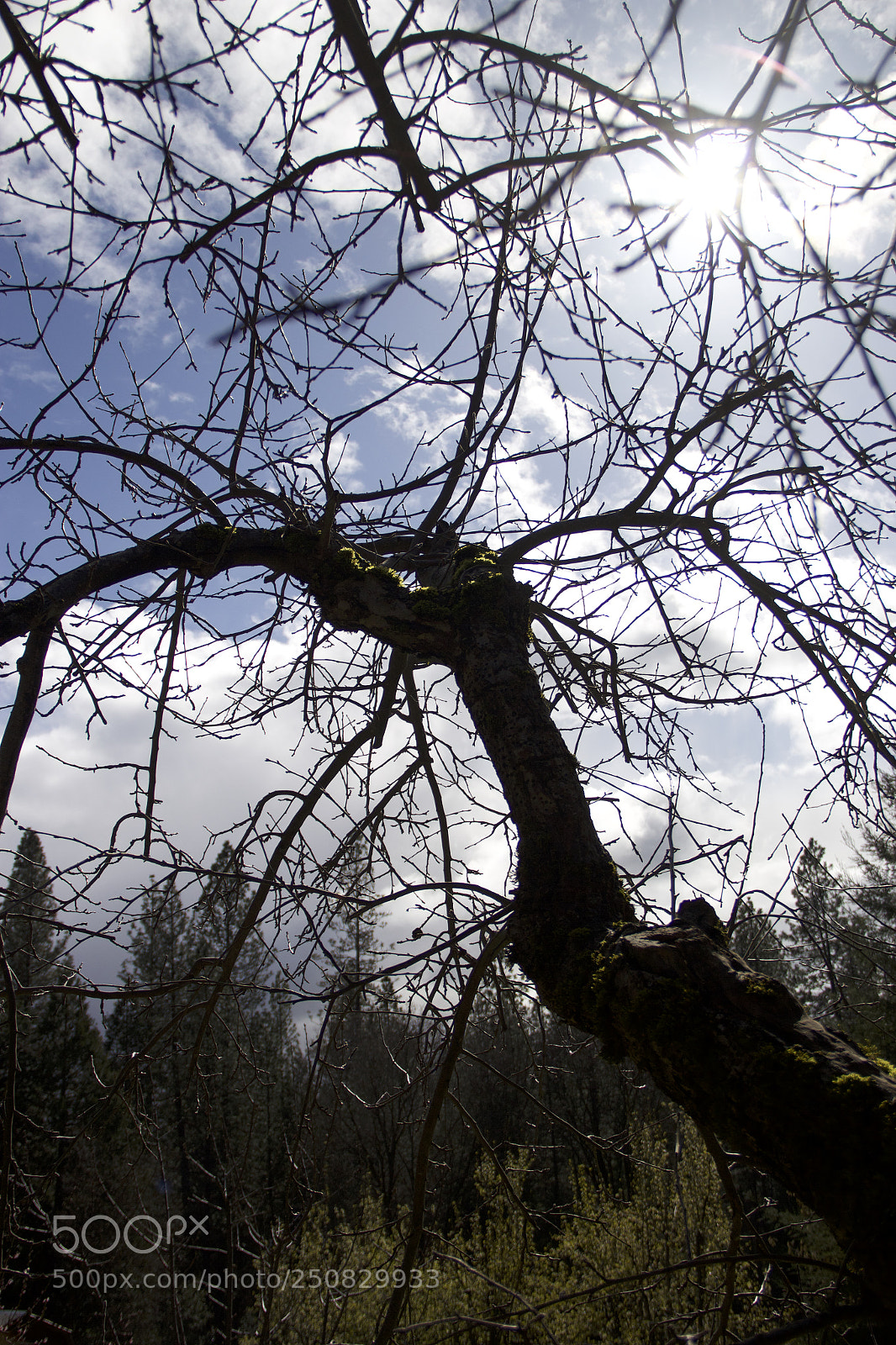 Canon EOS 60D sample photo. Img photography