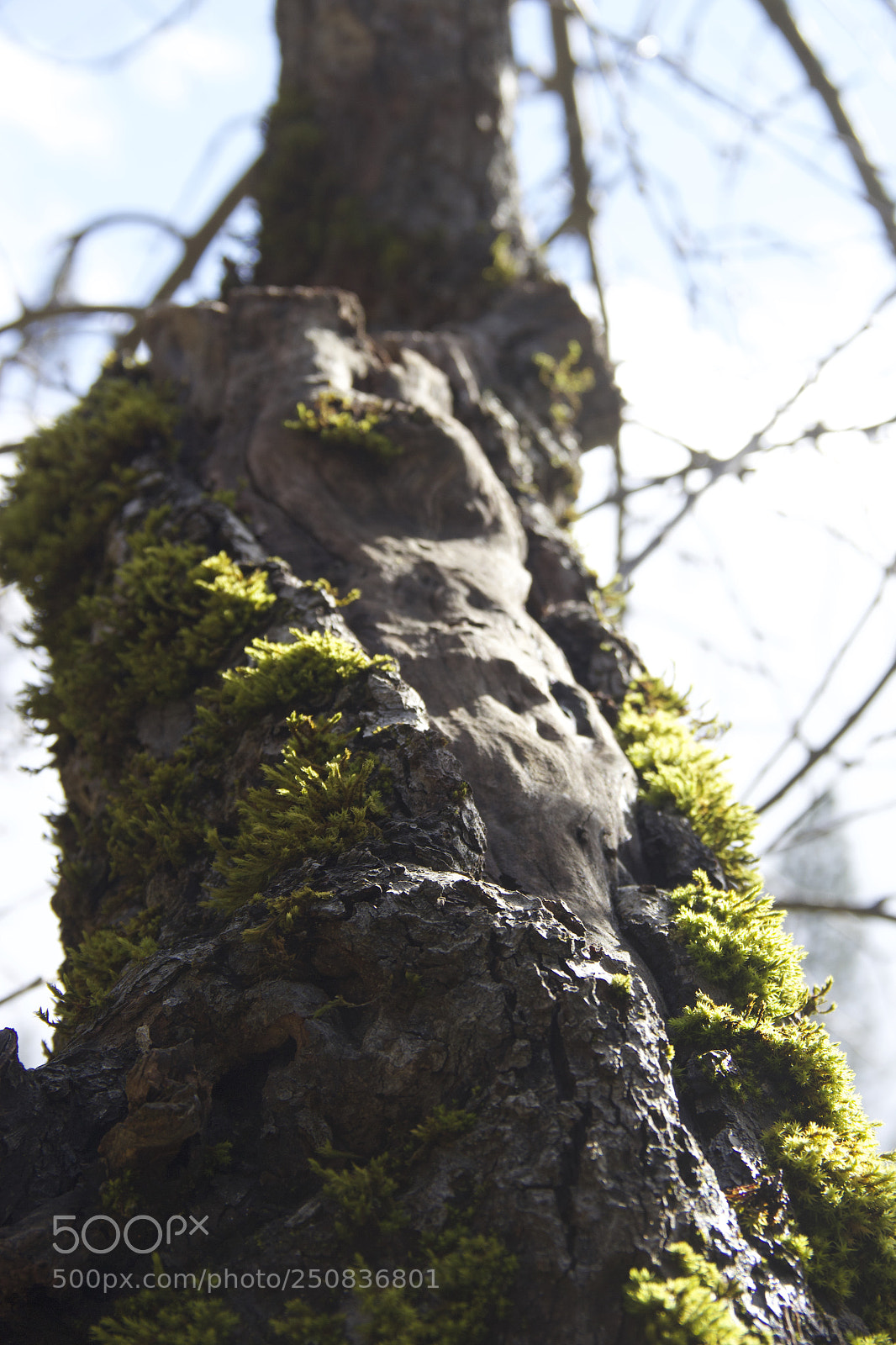 Canon EOS 60D sample photo. Img photography