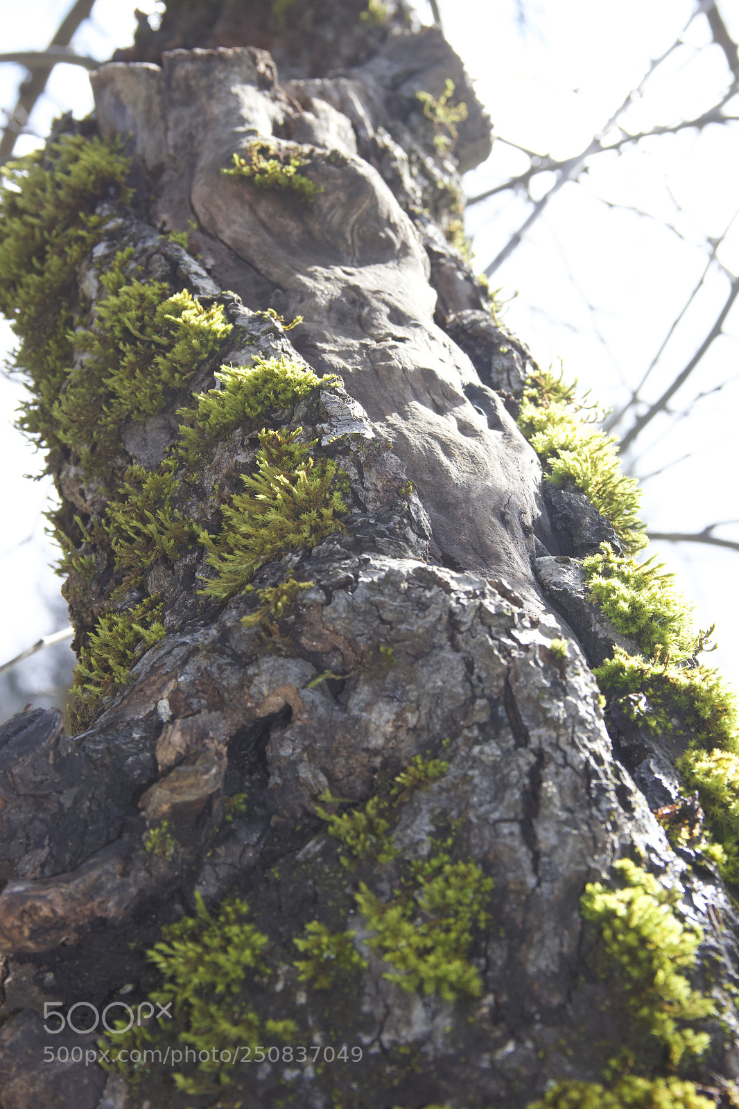 Canon EOS 60D sample photo. Img photography