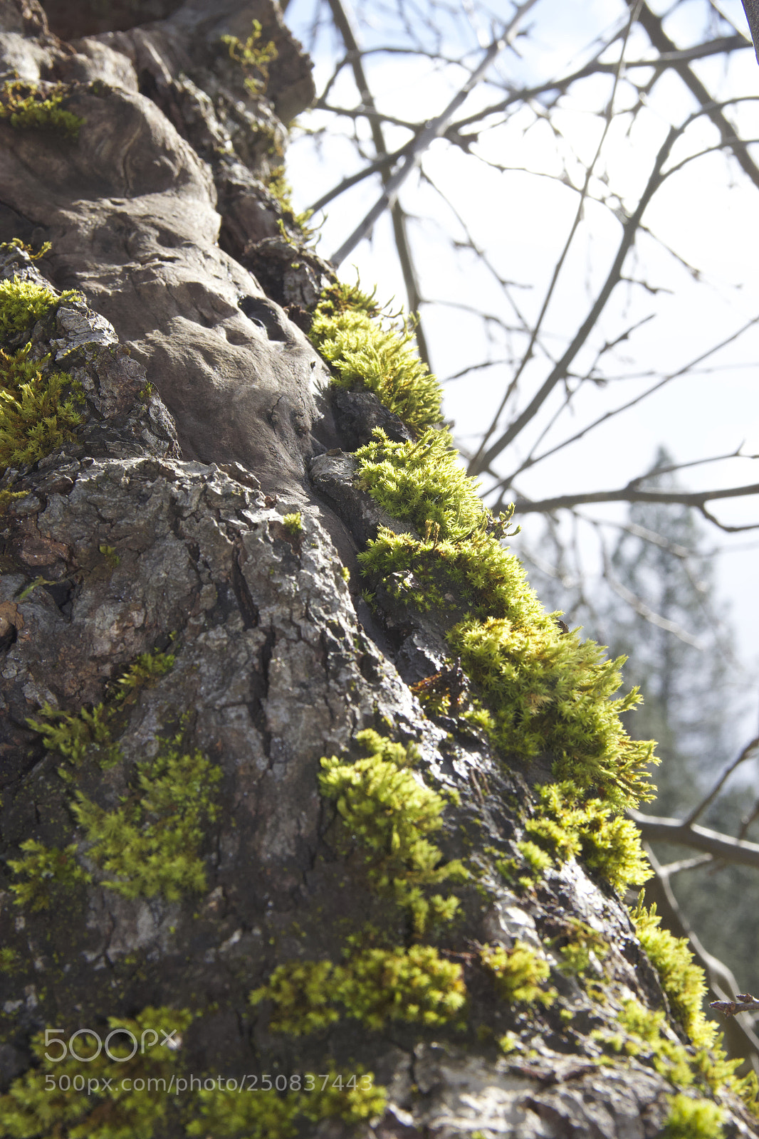 Canon EOS 60D sample photo. Img photography
