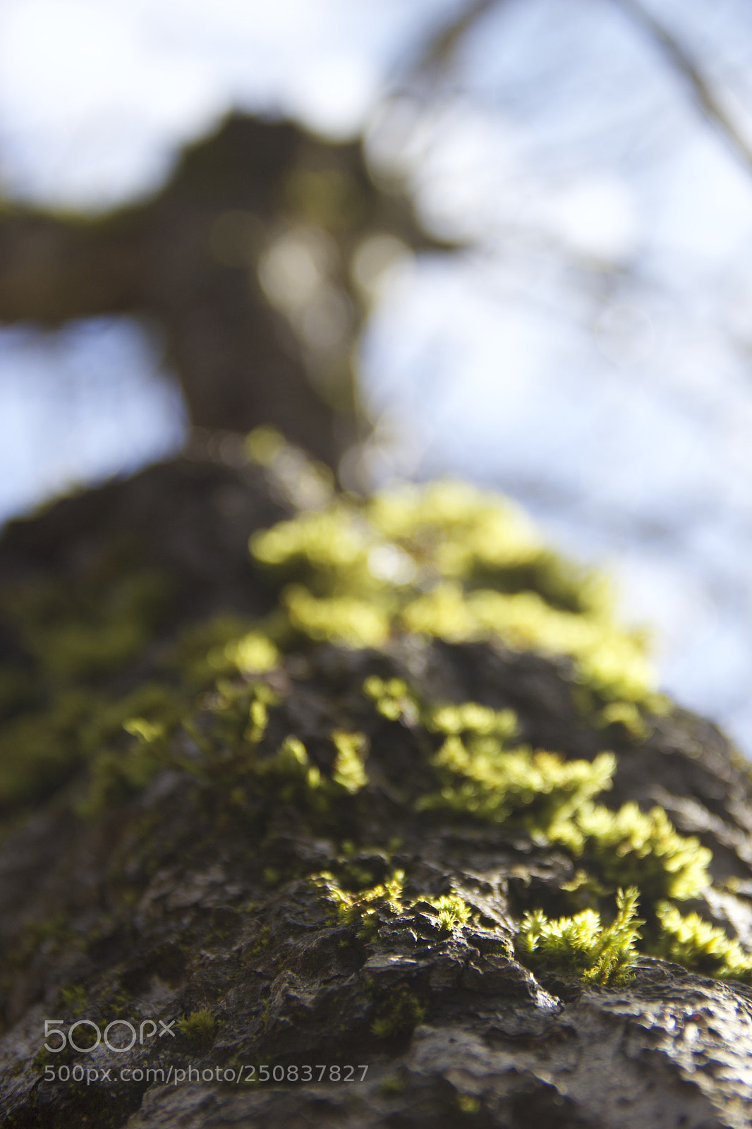 Canon EOS 60D sample photo. Img photography