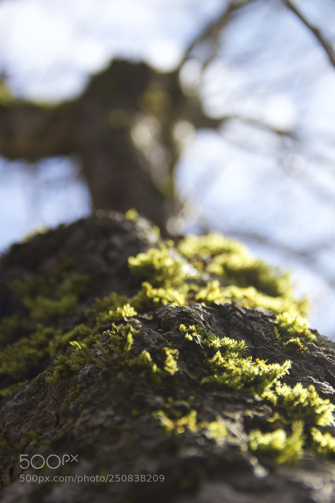 Canon EOS 60D sample photo. Img photography