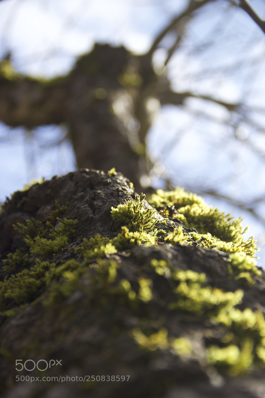 Canon EOS 60D sample photo. Img photography