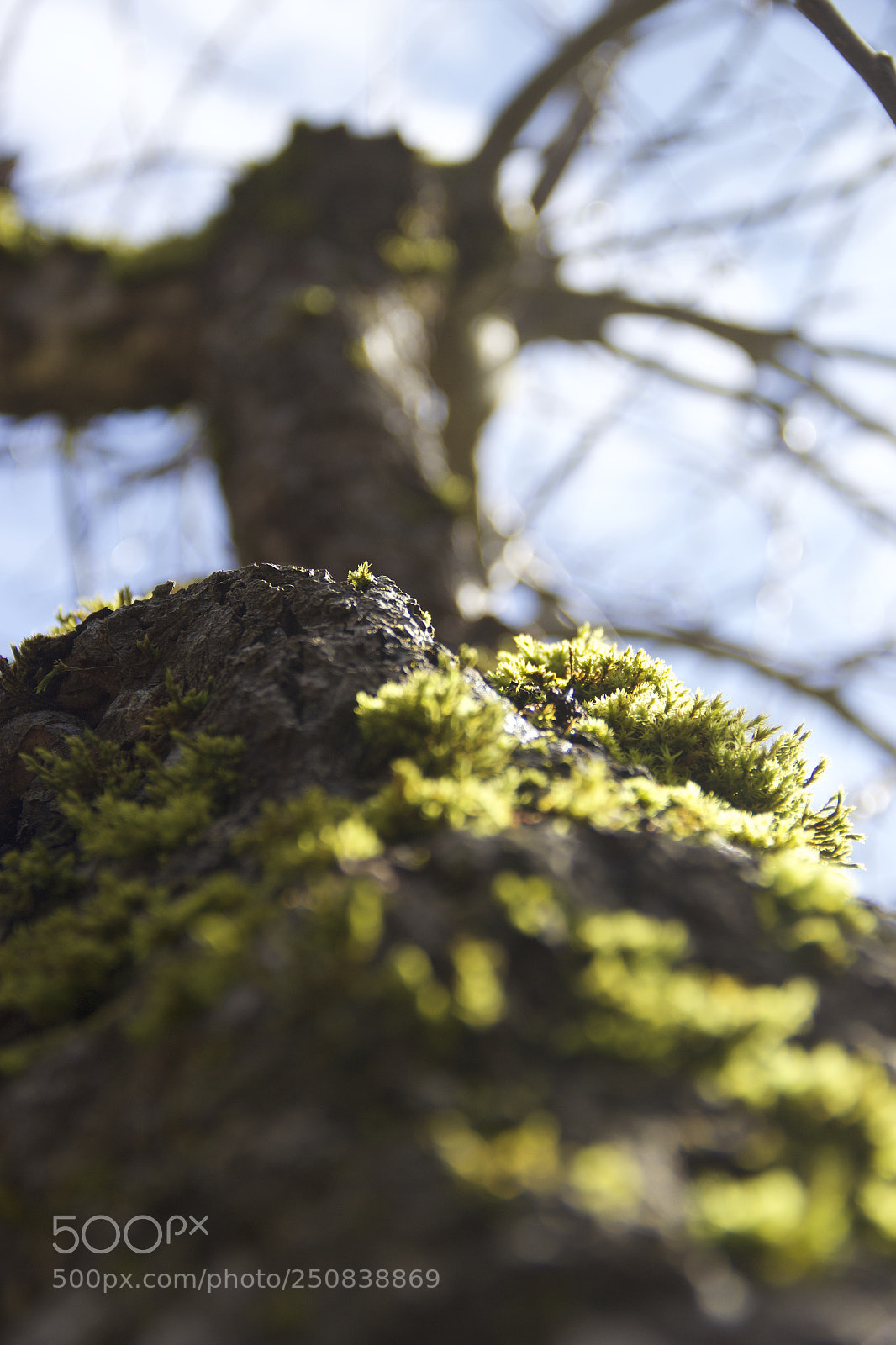 Canon EOS 60D sample photo. Img photography