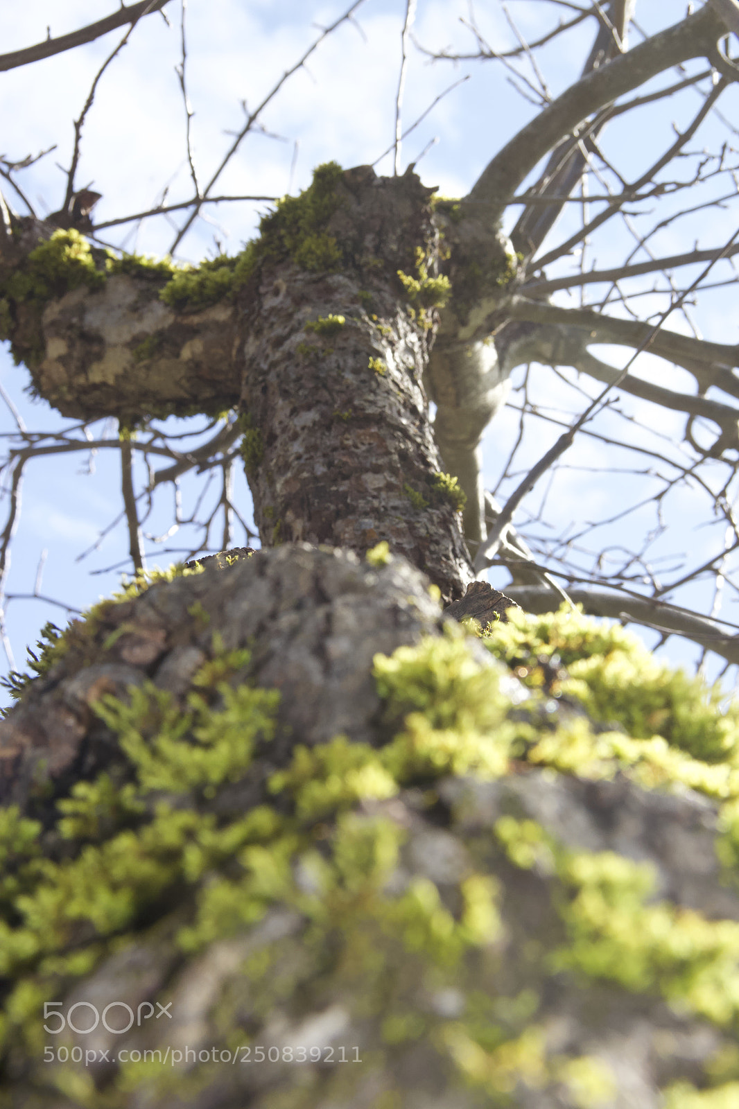 Canon EOS 60D sample photo. Img photography