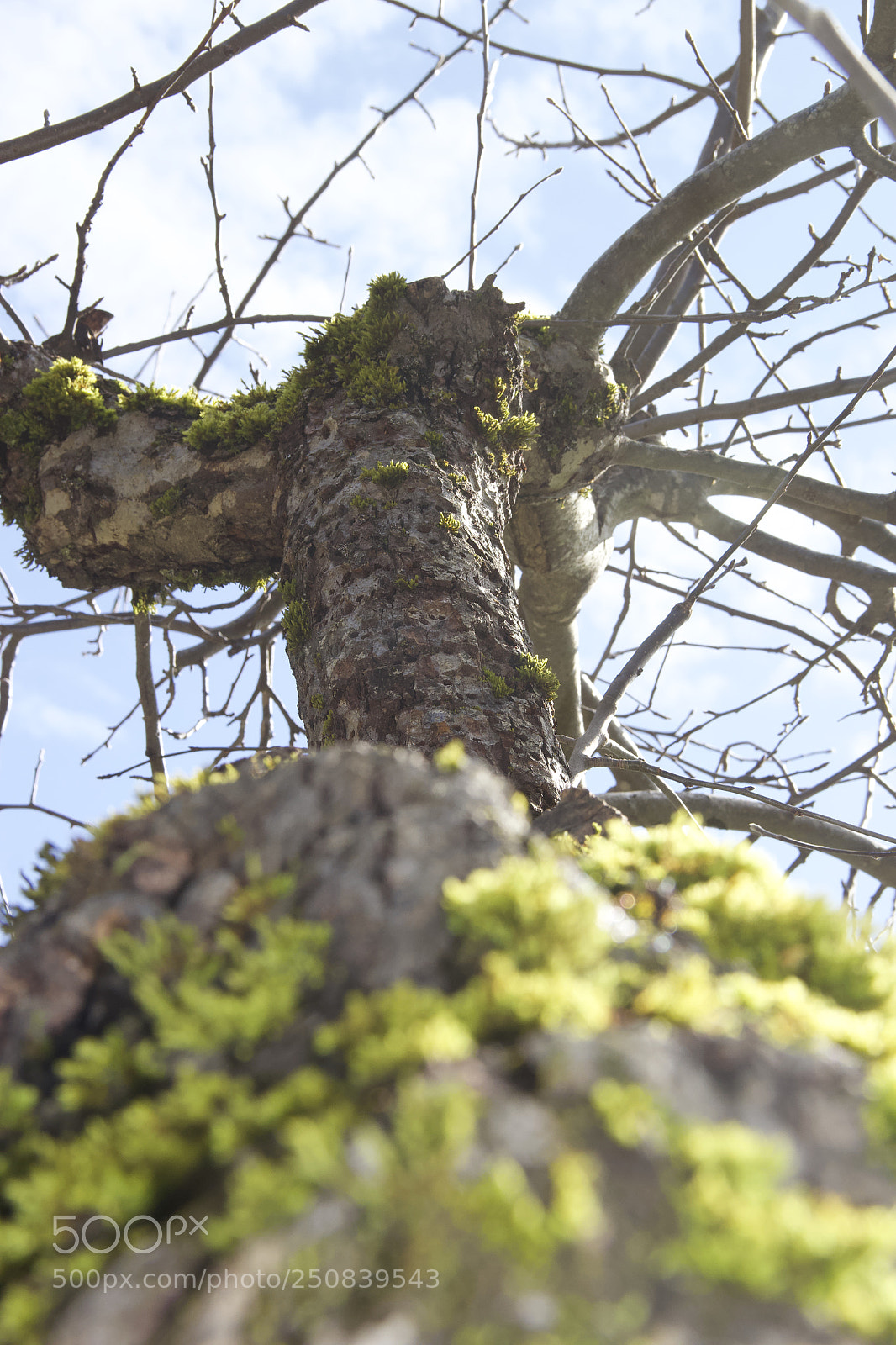 Canon EOS 60D sample photo. Img photography
