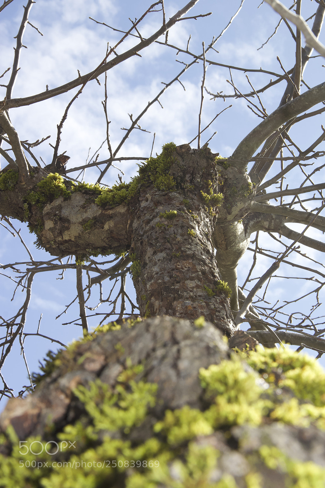 Canon EOS 60D sample photo. Img photography