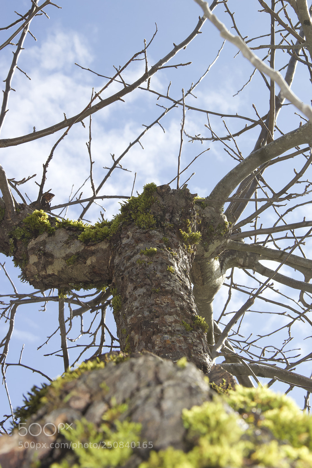Canon EOS 60D sample photo. Img photography