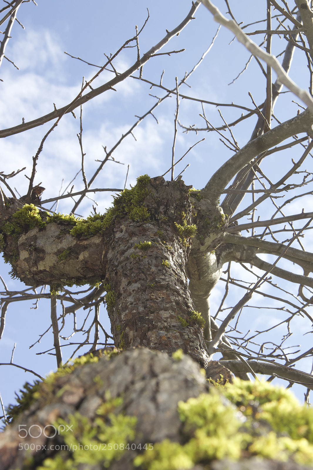 Canon EOS 60D sample photo. Img photography