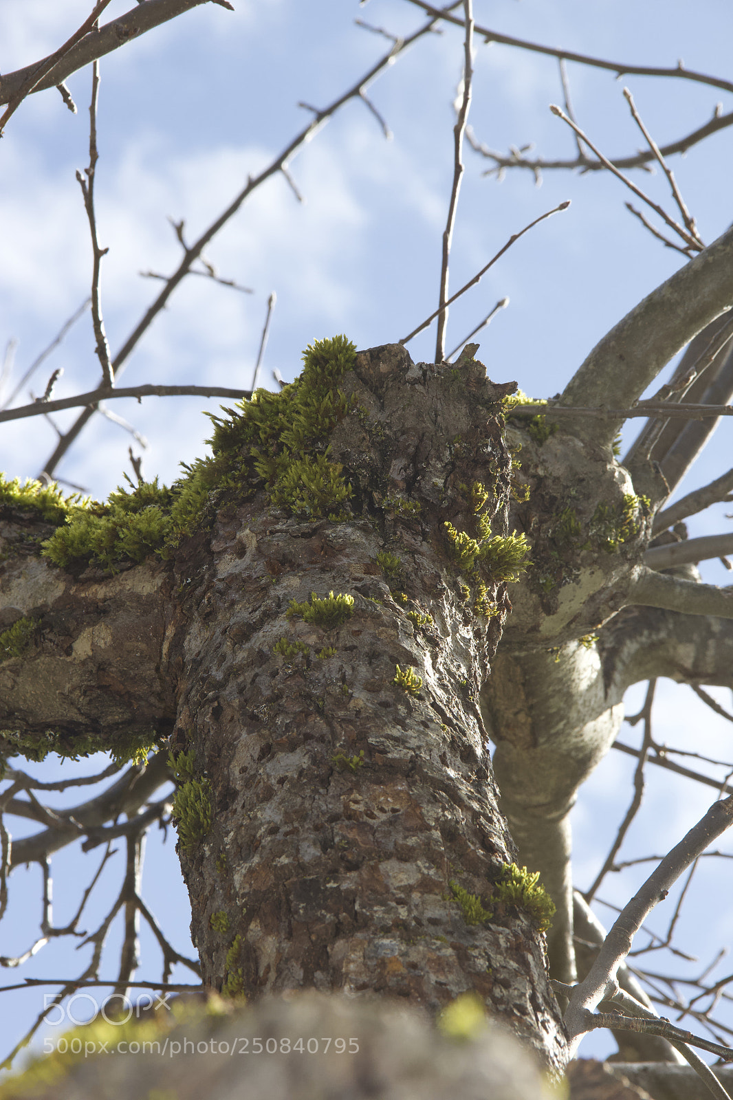 Canon EOS 60D sample photo. Img photography