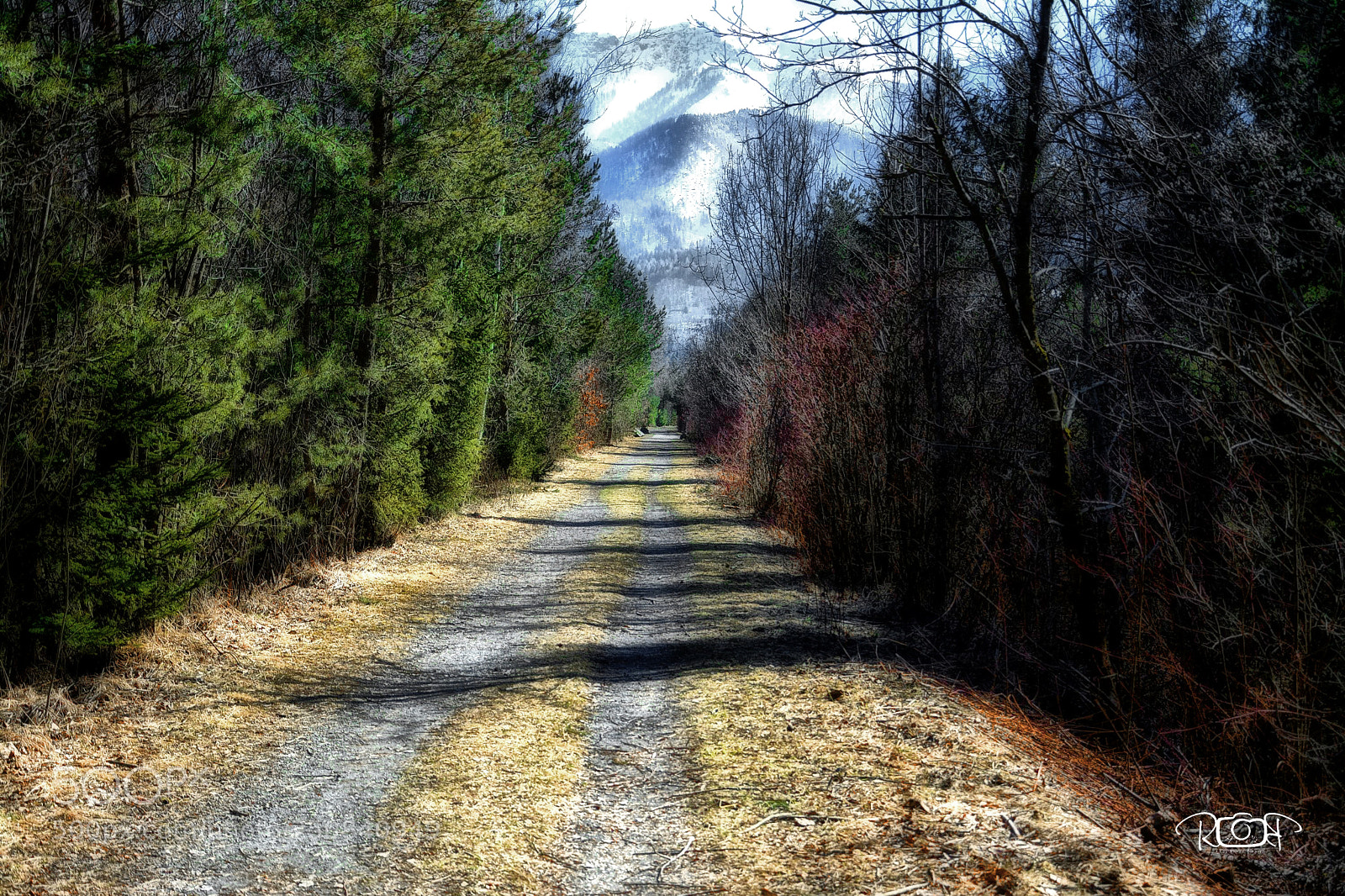 Nikon D5200 sample photo. Path photography