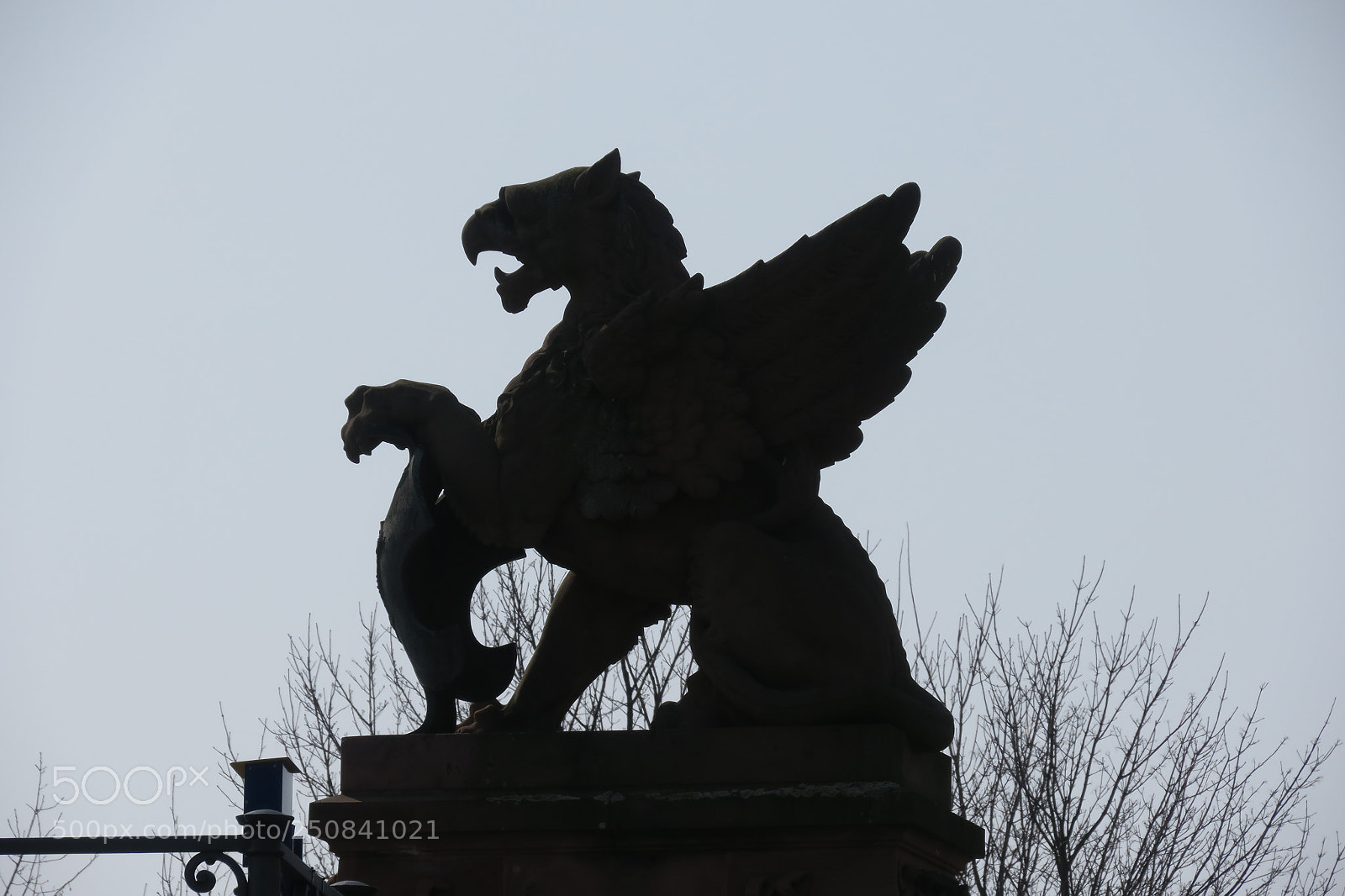 Canon PowerShot G3 X sample photo. Dark gryphon photography