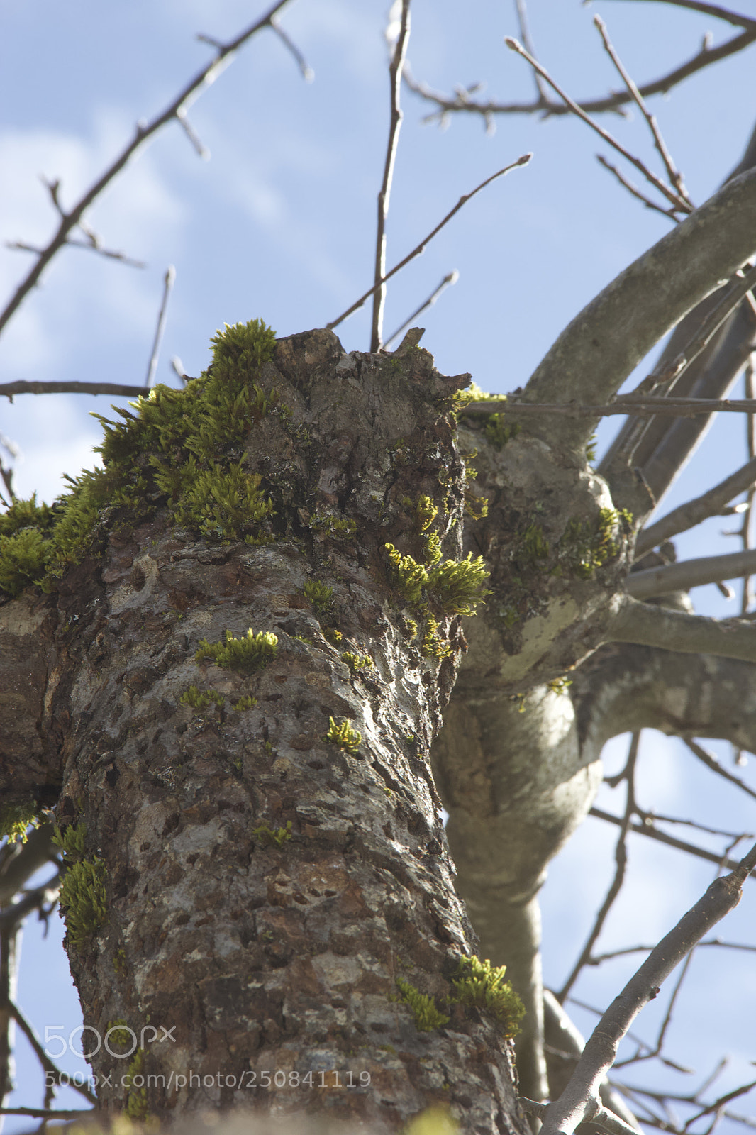 Canon EOS 60D sample photo. Img photography