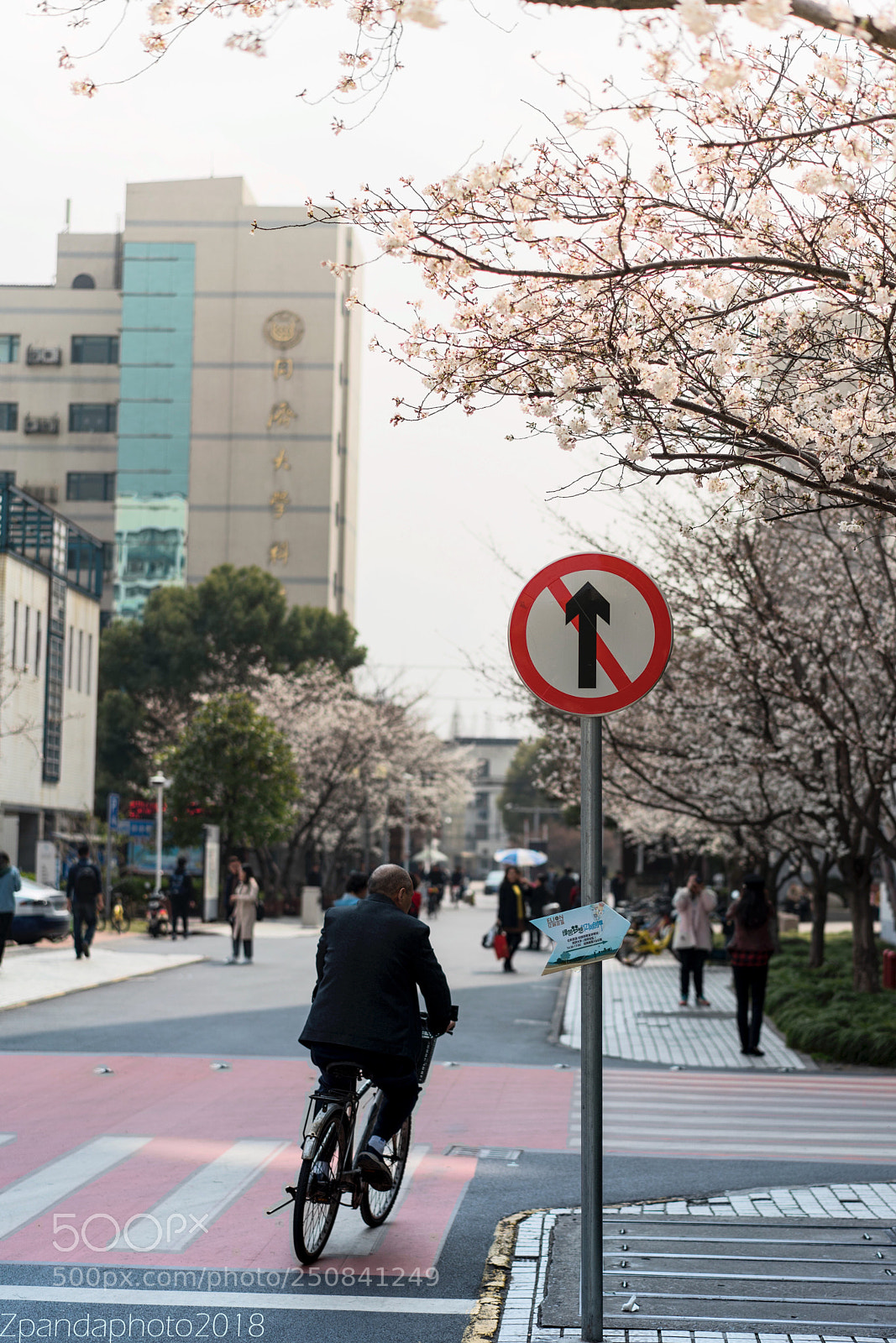Sony a7R III sample photo. Riding man photography