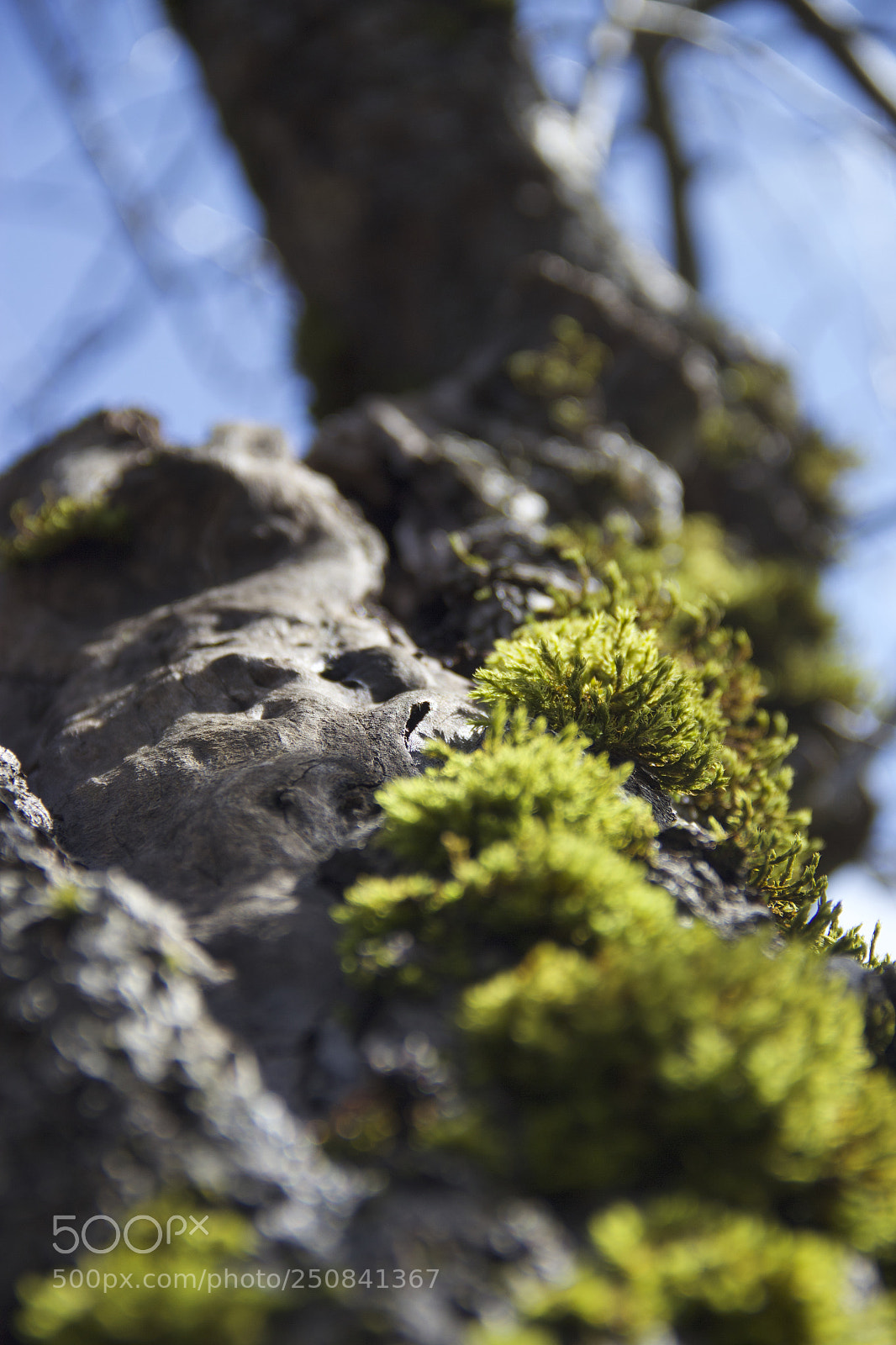 Canon EOS 60D sample photo. Img photography