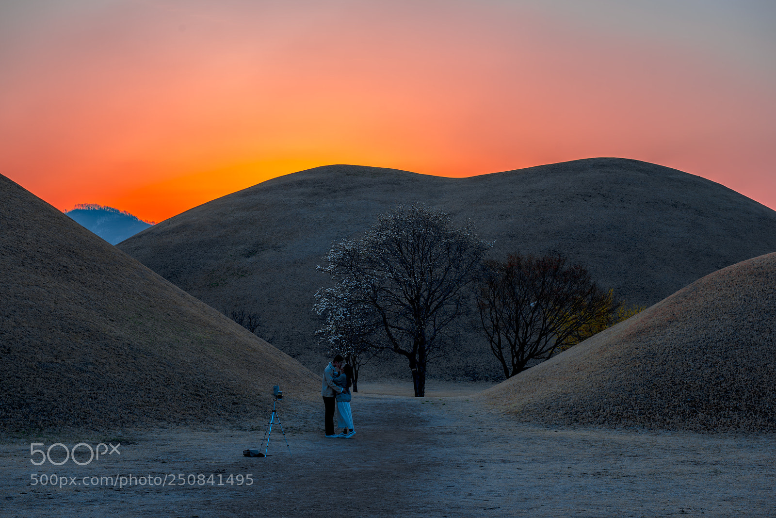 Nikon D810 sample photo. Hot photography