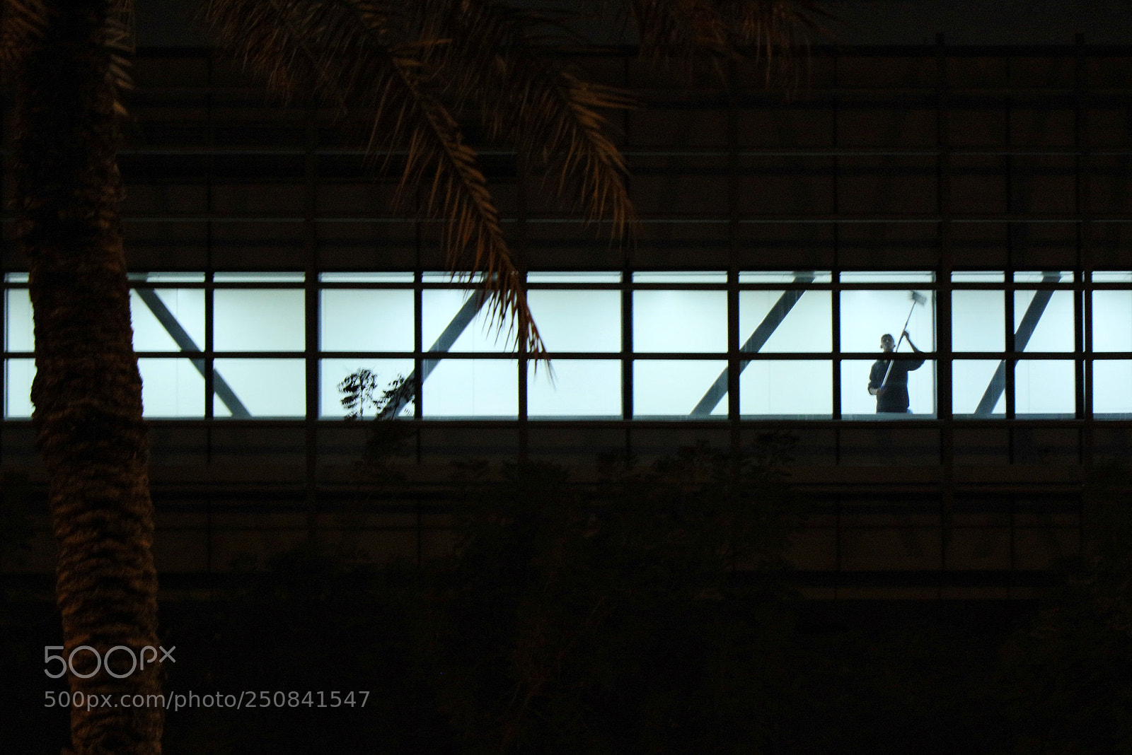 Canon EOS 7D Mark II sample photo. Pedestrain photography