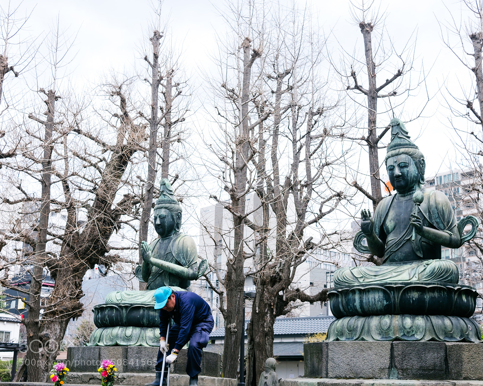 Fujifilm X-T10 sample photo. Untitled photography