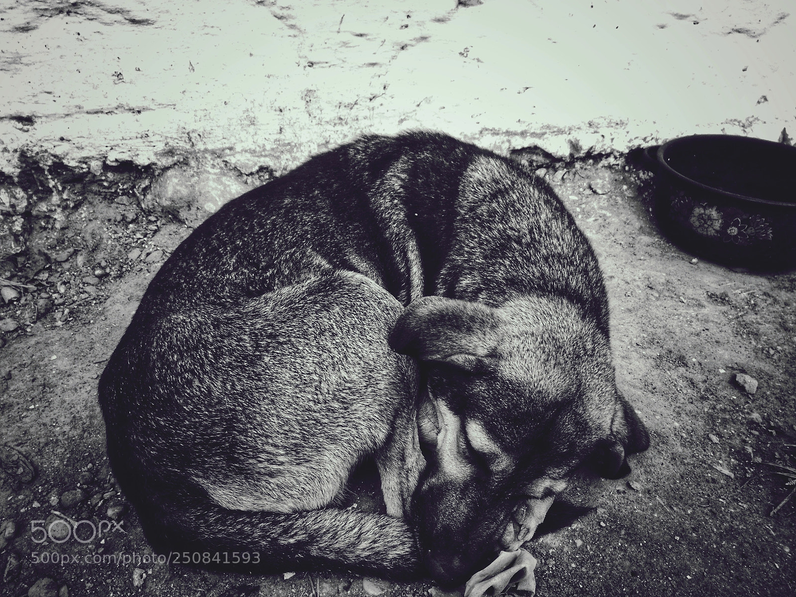 HUAWEI P9 LITE sample photo. Untitled photography