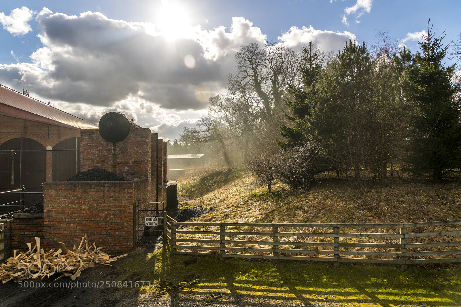 Sony a7R II sample photo. Teddy photography