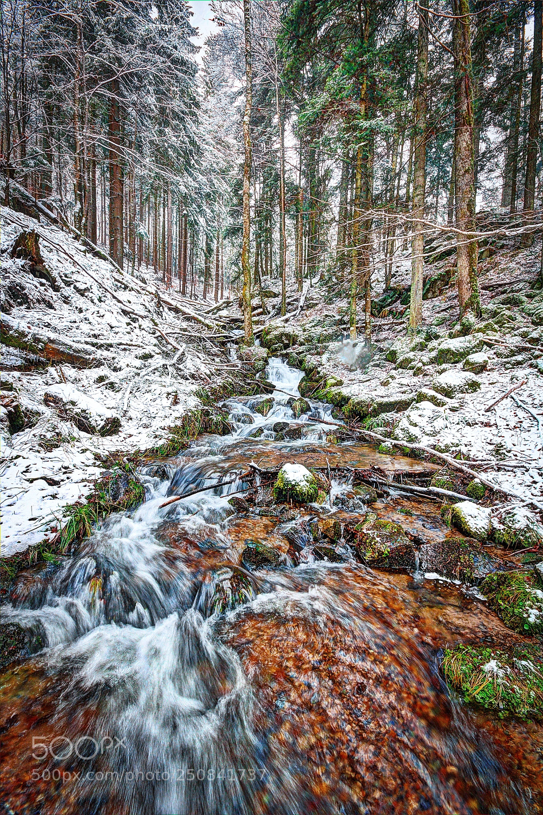 Canon EOS 760D (EOS Rebel T6s / EOS 8000D) sample photo. Nature en alsace photography
