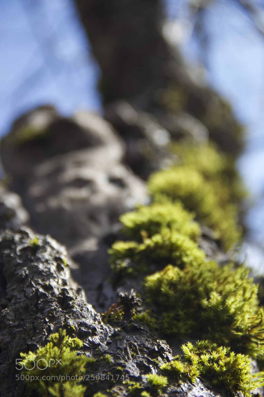 Canon EOS 60D sample photo. Img photography