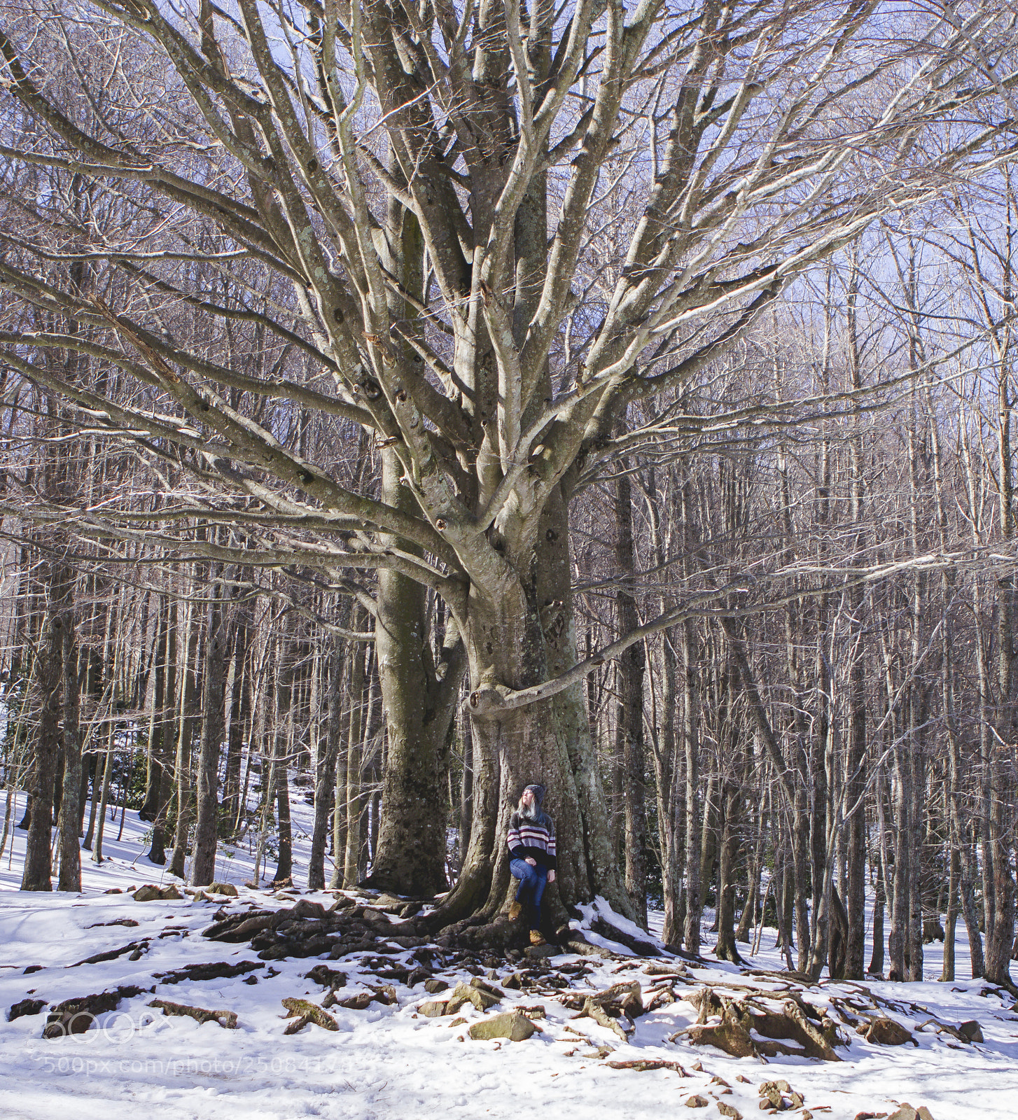 Canon EOS 60D sample photo. Montseny photography