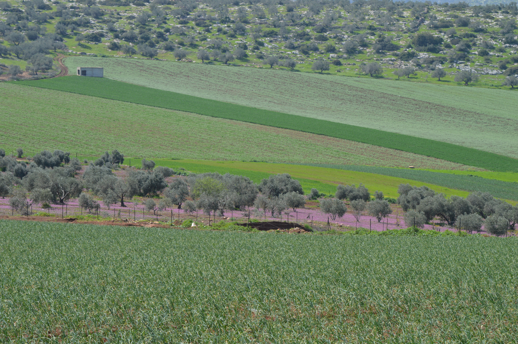 Nikon D3200 sample photo. Beautiful landscape photography