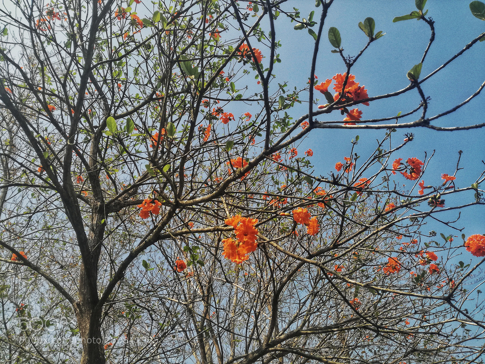 HUAWEI P9 LITE sample photo. Untitled photography