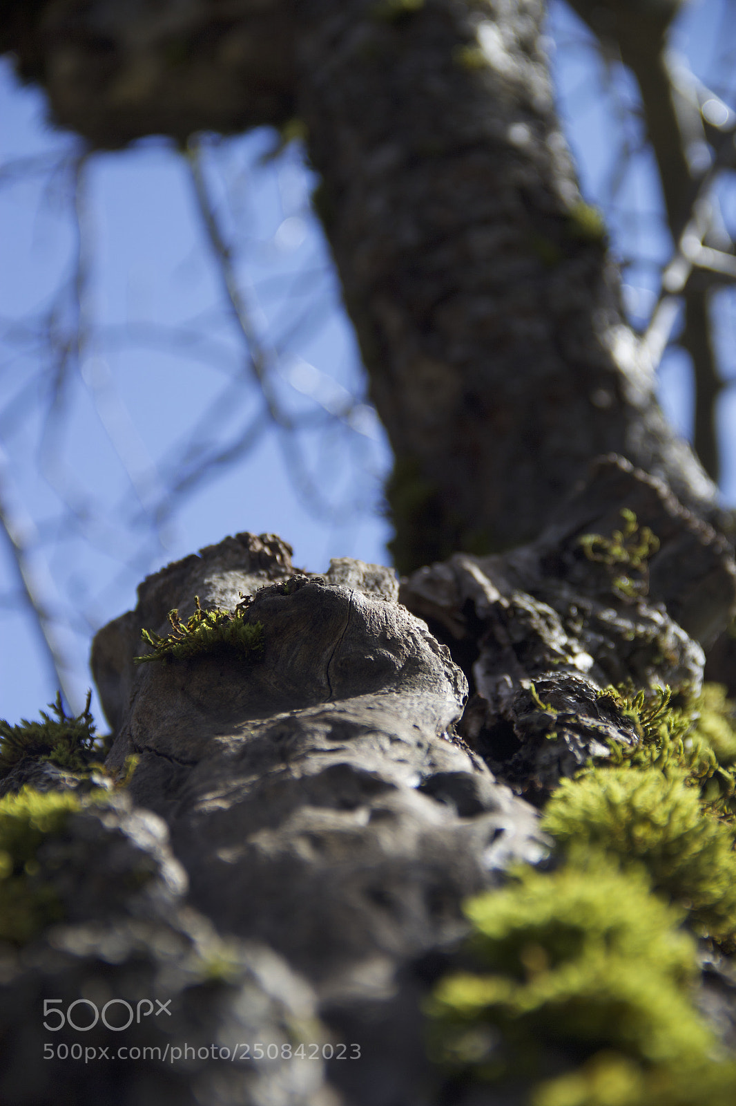 Canon EOS 60D sample photo. Img photography