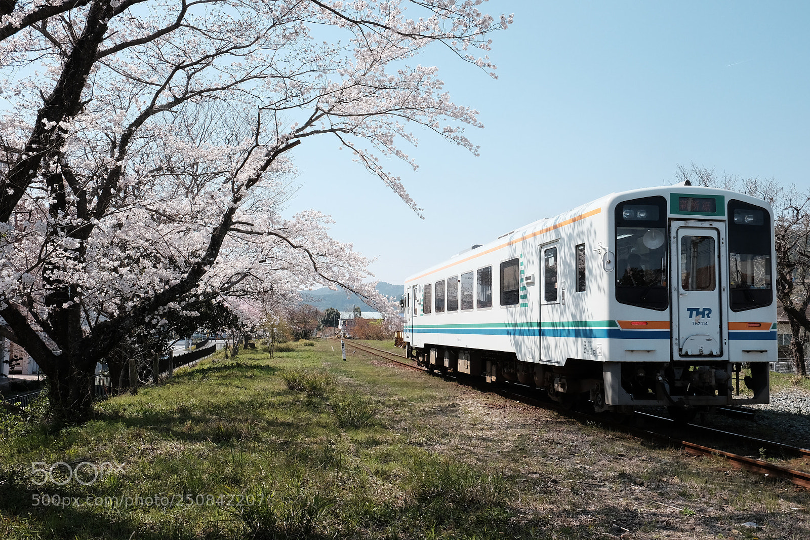 Fujifilm X-T1 sample photo. Tenhama line photography