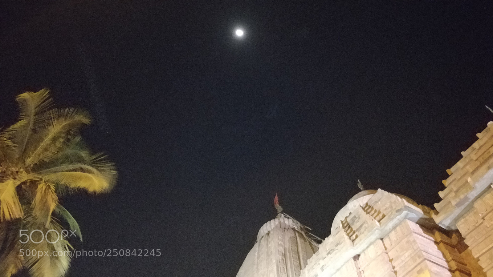 OnePlus 5 sample photo. Untitled photography
